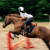 nycequestrian